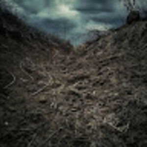 Meet your Posher, Amirightoramiright